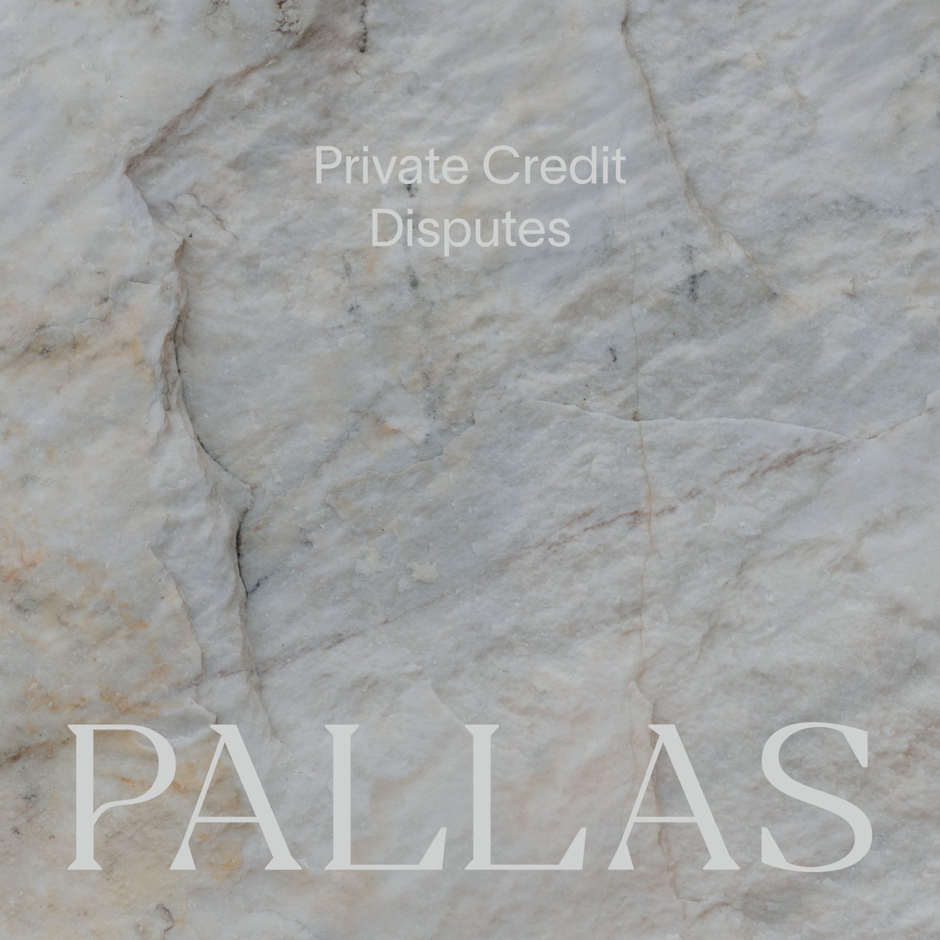 Natasha Harrison and Duane Loft Discuss Private Credit Disputes - Pallas